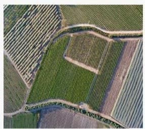 Aerial view of Bazak Farms commercial plots