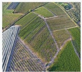 Aerial view of Bazak Farms commercial plots