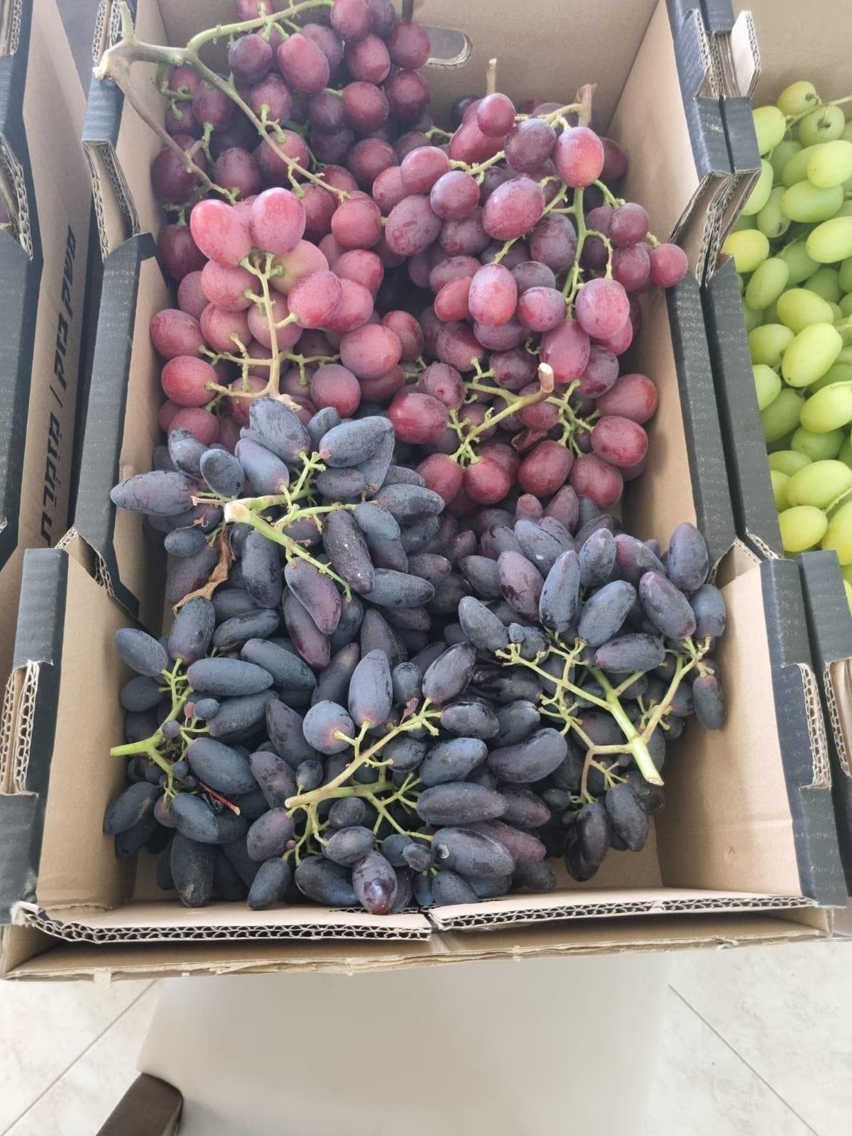 New selections at harvest